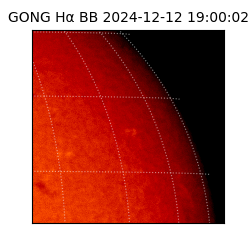 gong - 2024-12-12T19:00:02