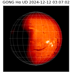 gong - 2024-12-12T03:07:02