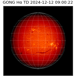gong - 2024-12-12T09:00:22