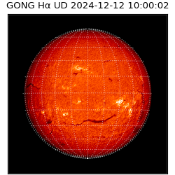 gong - 2024-12-12T10:00:02