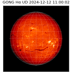 gong - 2024-12-12T11:00:02