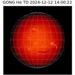 gong - 2024-12-12T14:00:22