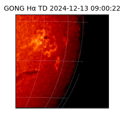 gong - 2024-12-13T09:00:22
