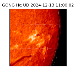 gong - 2024-12-13T11:00:02