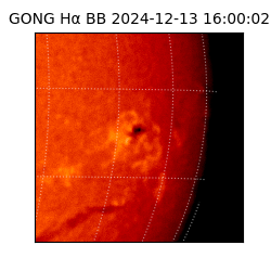 gong - 2024-12-13T16:00:02