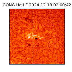 gong - 2024-12-13T02:00:42