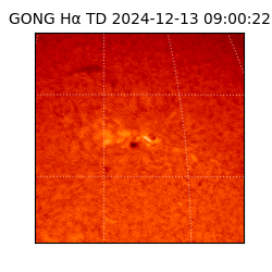 gong - 2024-12-13T09:00:22