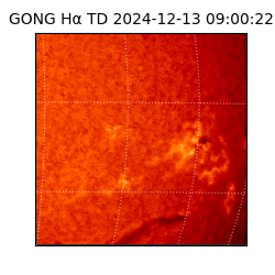 gong - 2024-12-13T09:00:22