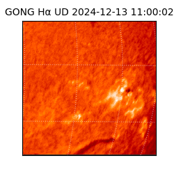 gong - 2024-12-13T11:00:02