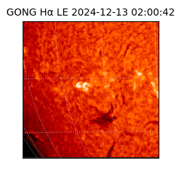 gong - 2024-12-13T02:00:42