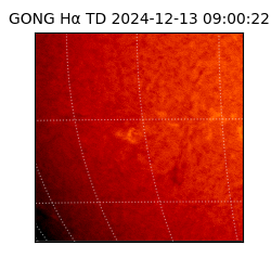 gong - 2024-12-13T09:00:22