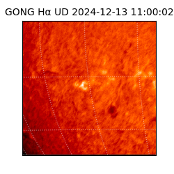gong - 2024-12-13T11:00:02