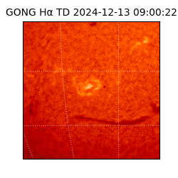 gong - 2024-12-13T09:00:22