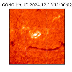gong - 2024-12-13T11:00:02