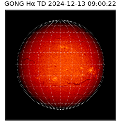 gong - 2024-12-13T09:00:22