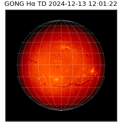 gong - 2024-12-13T12:01:22
