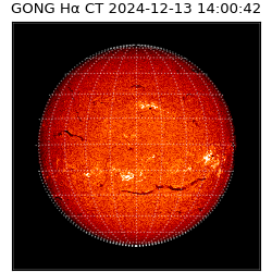 gong - 2024-12-13T14:00:42