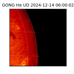 gong - 2024-12-14T06:00:02