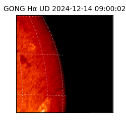 gong - 2024-12-14T09:00:02