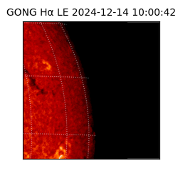gong - 2024-12-14T10:00:42