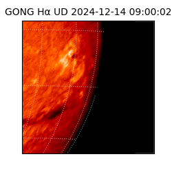 gong - 2024-12-14T09:00:02