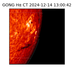 gong - 2024-12-14T13:00:42