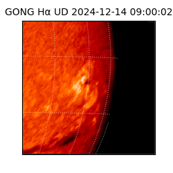 gong - 2024-12-14T09:00:02
