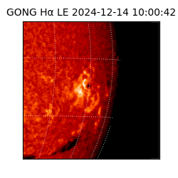 gong - 2024-12-14T10:00:42