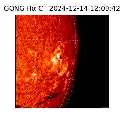 gong - 2024-12-14T12:00:42