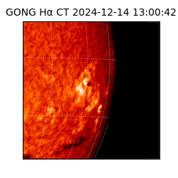 gong - 2024-12-14T13:00:42