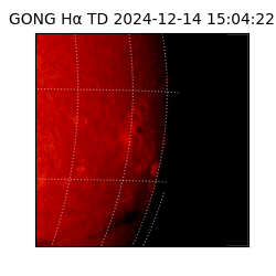gong - 2024-12-14T15:04:22