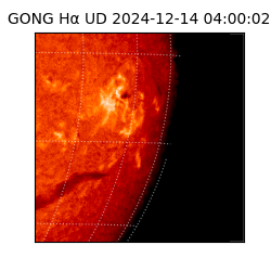 gong - 2024-12-14T04:00:02