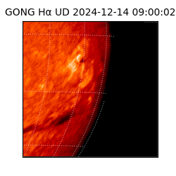 gong - 2024-12-14T09:00:02