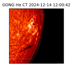 gong - 2024-12-14T12:00:42