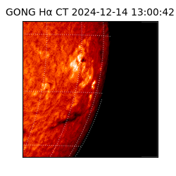 gong - 2024-12-14T13:00:42