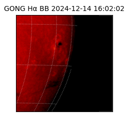 gong - 2024-12-14T16:02:02