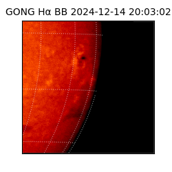 gong - 2024-12-14T20:03:02