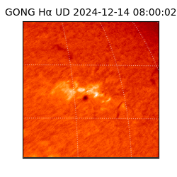 gong - 2024-12-14T08:00:02