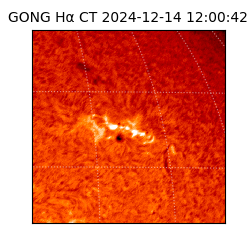 gong - 2024-12-14T12:00:42