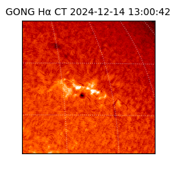 gong - 2024-12-14T13:00:42