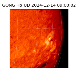 gong - 2024-12-14T09:00:02