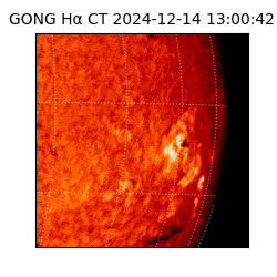 gong - 2024-12-14T13:00:42