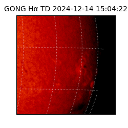 gong - 2024-12-14T15:04:22
