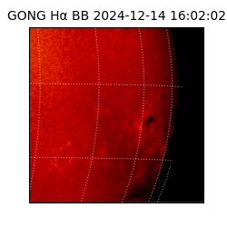 gong - 2024-12-14T16:02:02