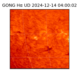 gong - 2024-12-14T04:00:02