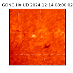 gong - 2024-12-14T08:00:02