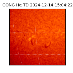 gong - 2024-12-14T15:04:22