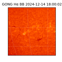 gong - 2024-12-14T18:00:02