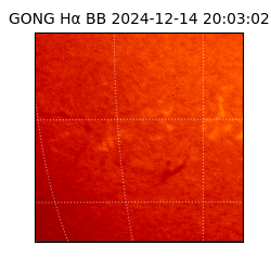 gong - 2024-12-14T20:03:02