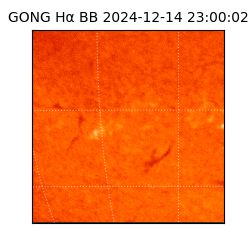 gong - 2024-12-14T23:00:02